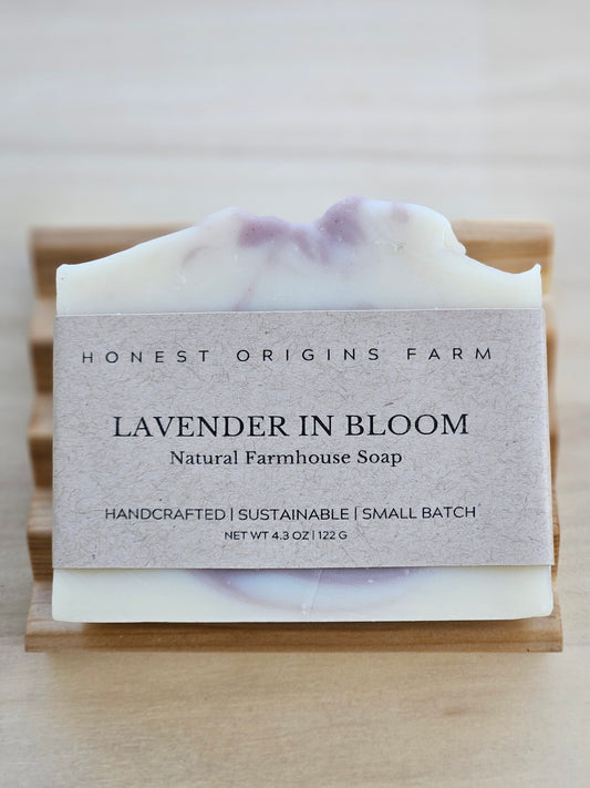 Lavender in Bloom Soap